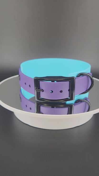 1.5 inch wide light blue and dark purple tapered biothane pet your own fucking dog collar with glitter text