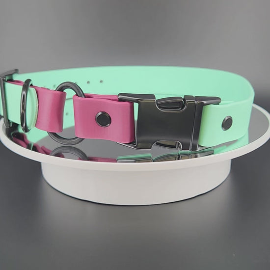 1 inch wide mint green and wine biothane e-collar strap with bungee and quick release buckle