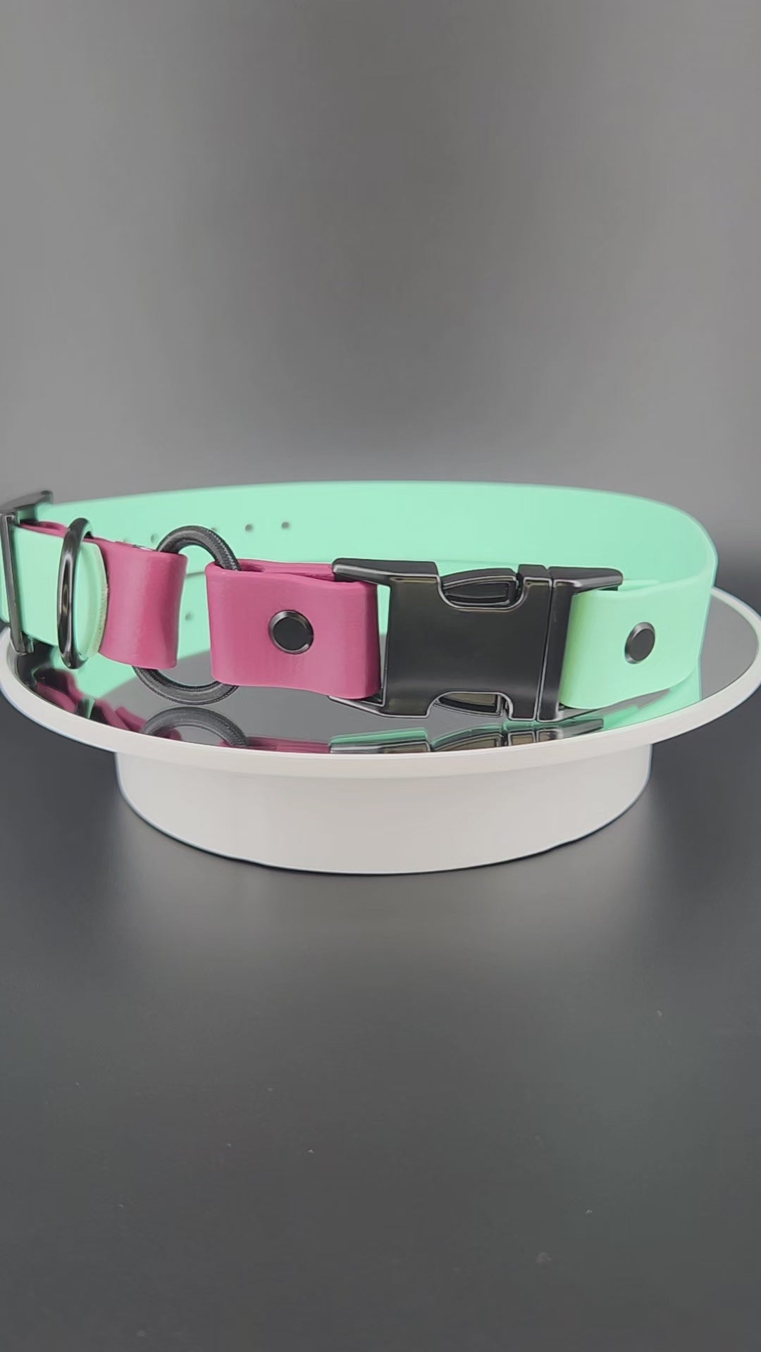 1 inch wide mint green and wine biothane e-collar strap with bungee and quick release buckle