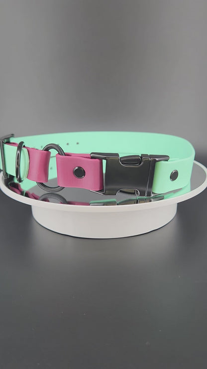 1 inch wide mint green and wine biothane e-collar strap with bungee and quick release buckle