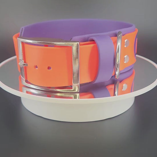 2 inch wide dark purple and orange layered biothane dog collar with go away text and silver hardware, fits a 15 - 18 inch neck