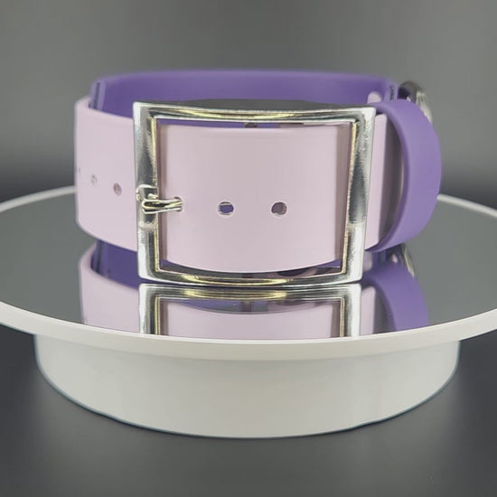2 inch wide dark purple and lavender layered biothane psycho dog collar