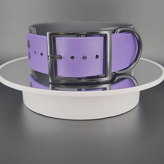 Ready to Ship - Black and Dark Purple Tapered Biothane DO NOT PET Collar, 2 inch wide 15 - 18 inch neck