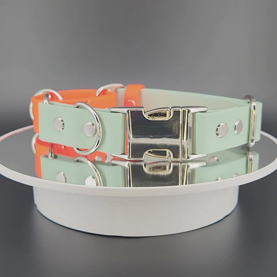 sage green and orange biothane martingale dog collar with silver quick release buckle