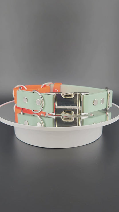 sage green and orange biothane martingale dog collar with silver quick release buckle