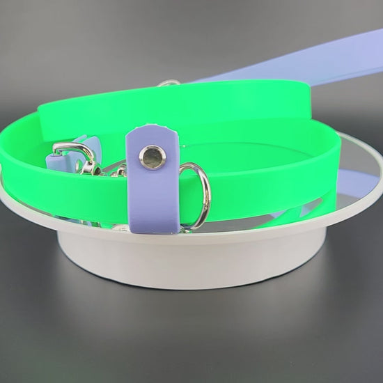 light green and periwinkle biothane convertible slip leash