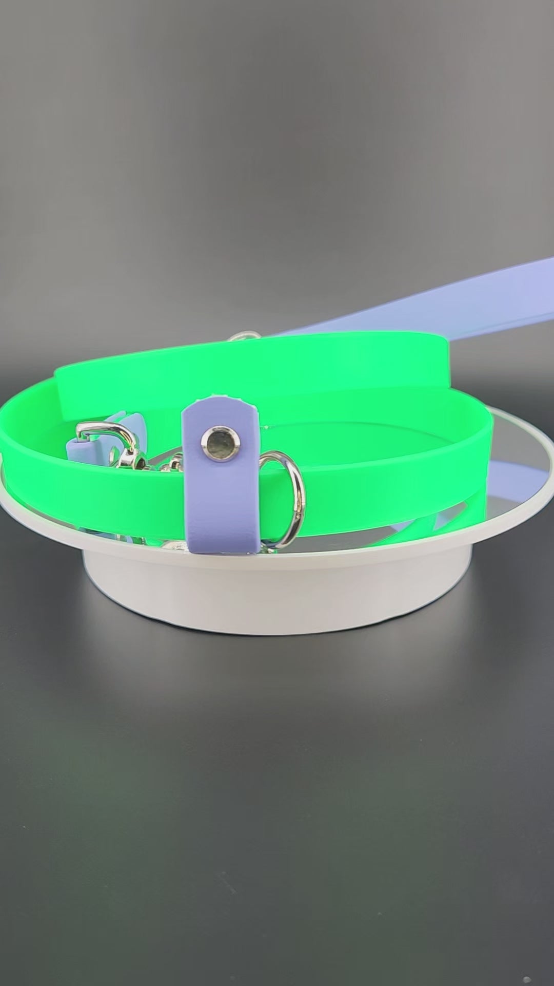 light green and periwinkle biothane convertible slip leash