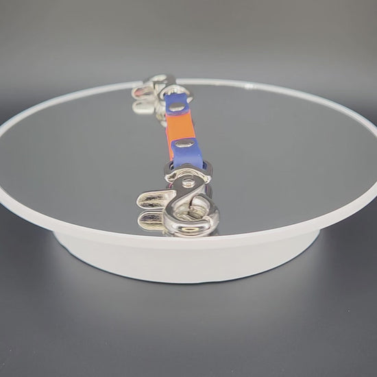 orange and navy blue biothane training collar backup safety strap with silver hardware