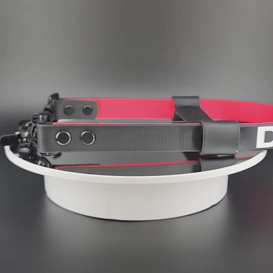 black and red layered biothane pull strap with do not pet text for working service dogs doing momentum pulling and counterbalance tasks