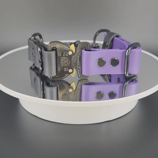 dark purple and black biothane chain martingale dog collar with quick release cobra buckle