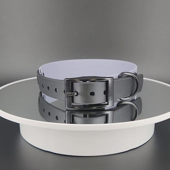1 inch wide gray and black tapered biothane halloween bats collar for small dog