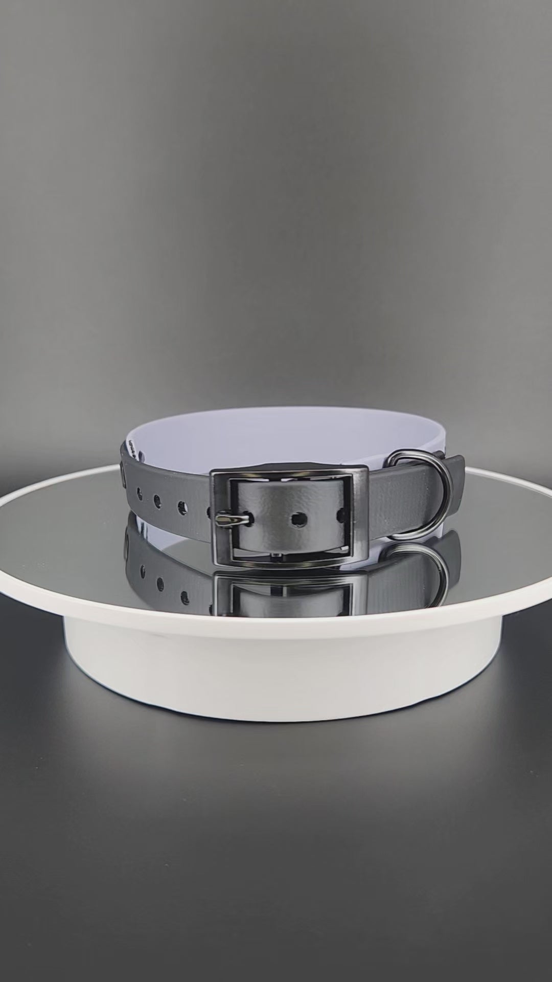 1 inch wide gray and black tapered biothane halloween bats collar for small dog