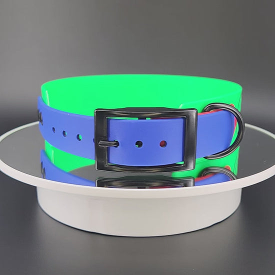 light green and royal blue and red tapered biothane dog collar with game over text