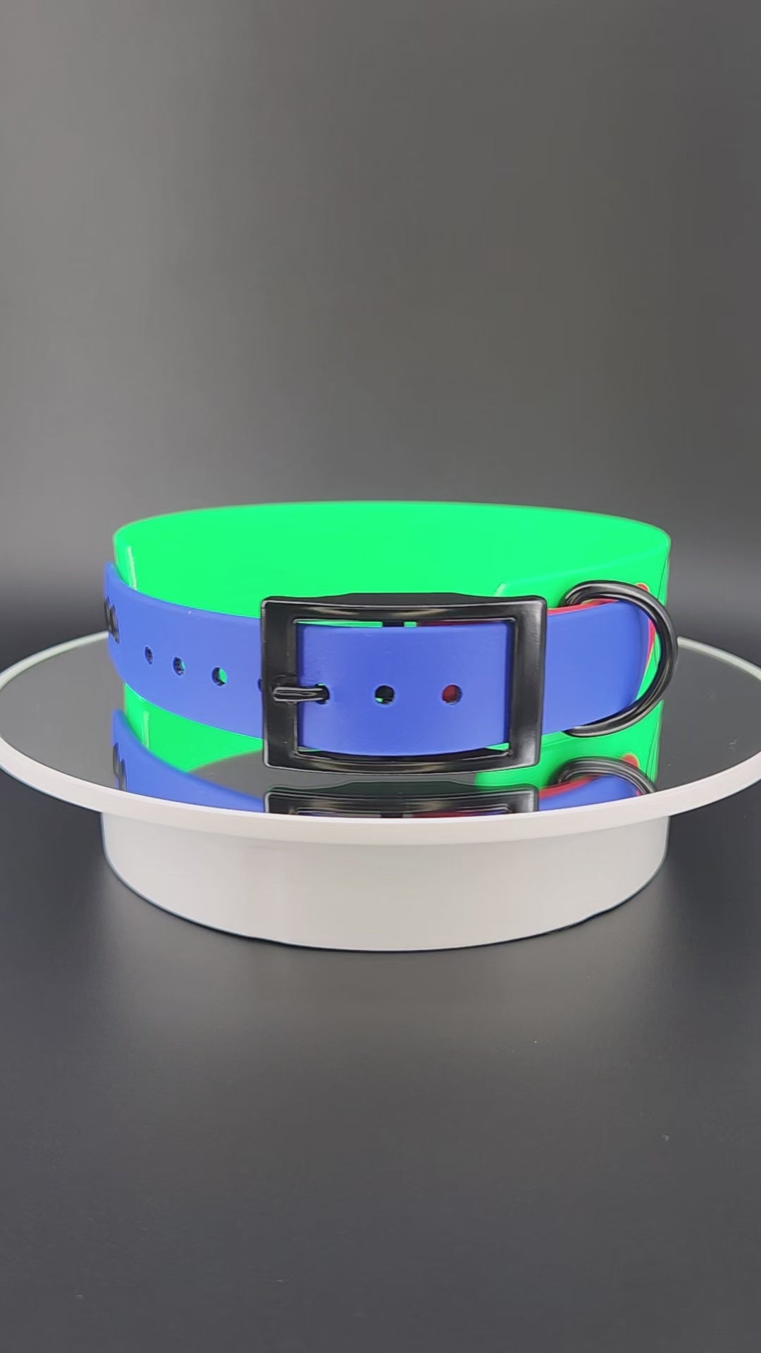 light green and royal blue and red tapered biothane dog collar with game over text