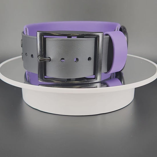 Ready to Ship - Dark Purple and Black Layered Biothane BITEY BITCH Collar with Tactical Handle, 2 inch wide 15 - 18 inch neck