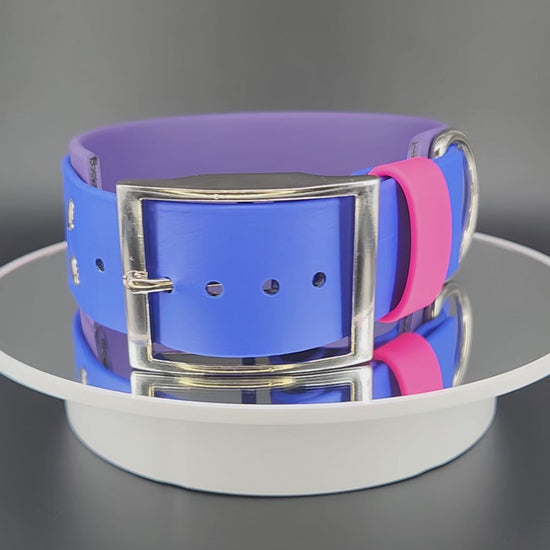 Dark Purple and Royal Blue Layered Biothane Bi PRIDE Collar, 2 inch wide 15 - 18 inch neck