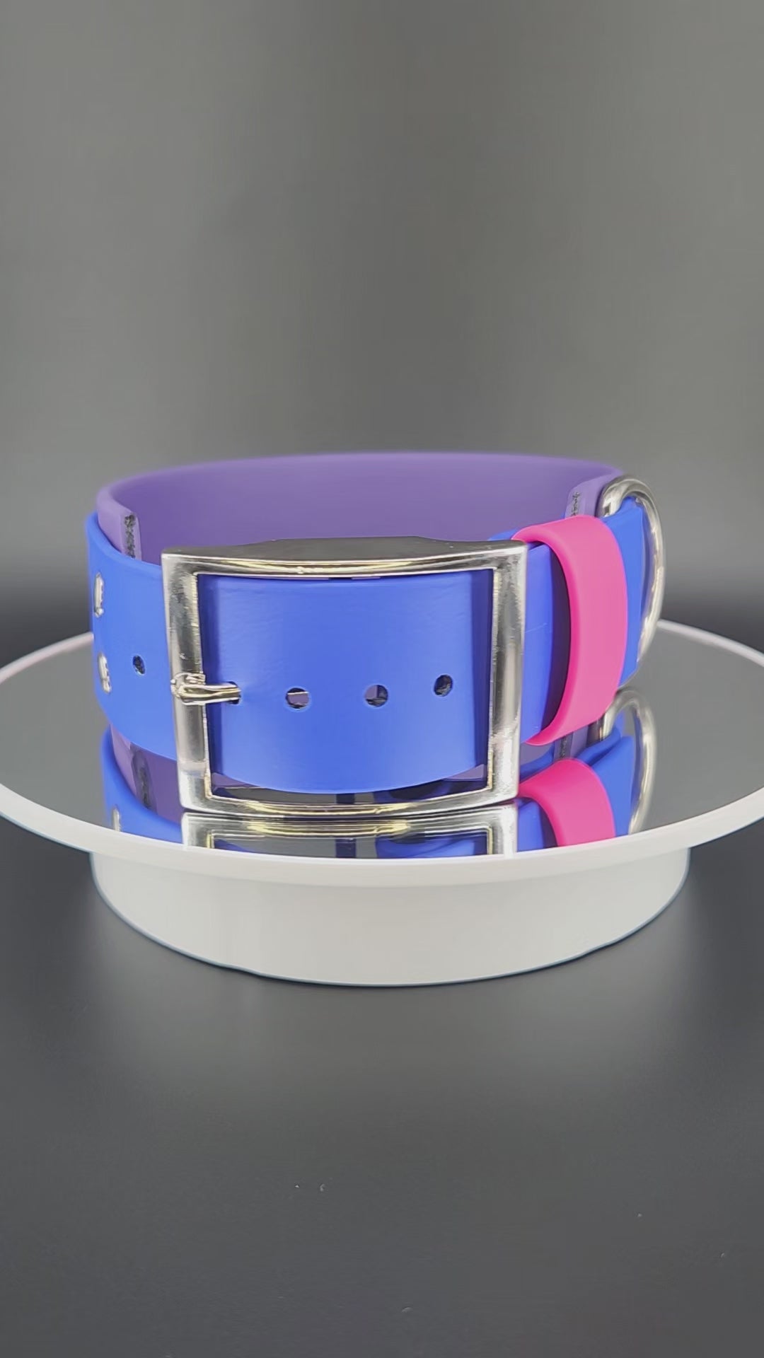 Dark Purple and Royal Blue Layered Biothane Bi PRIDE Collar, 2 inch wide 15 - 18 inch neck