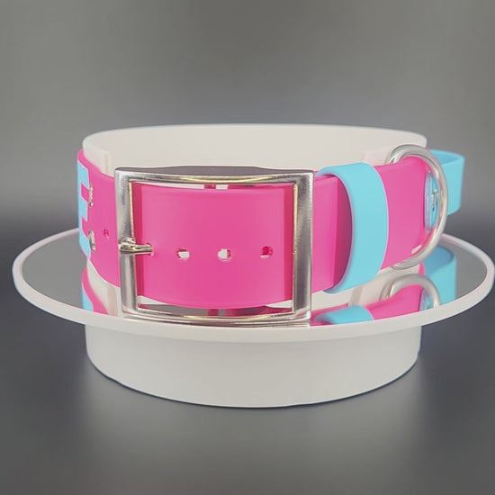White and Pink Layered Biothane PRIDE Collar with Tactical Handle, 2 inch wide 18 - 21 inch neck