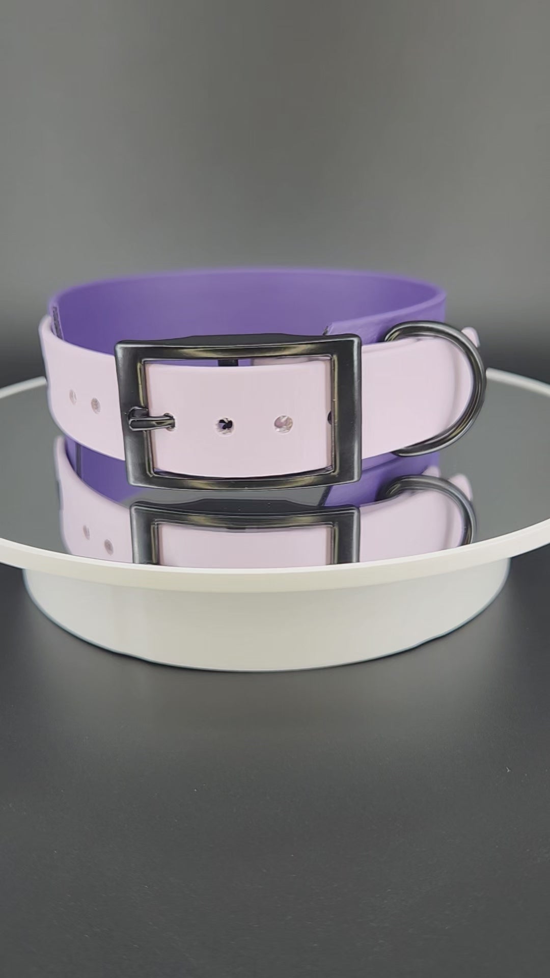 dark purple and lavender tapered biothane dog collar with feral lil princess text