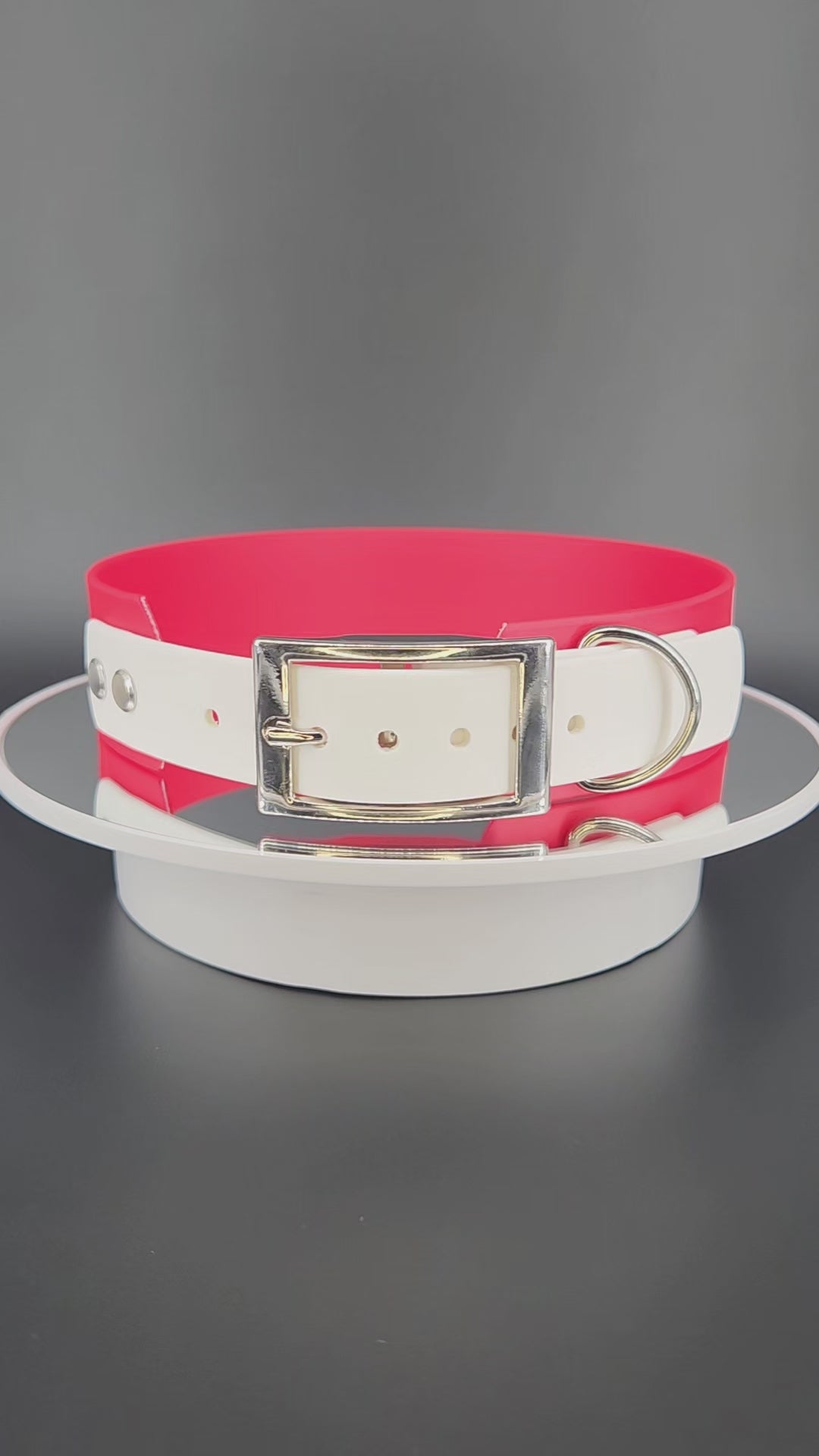 1.5 inch wide red and white tapered biothane do not pet dog collar