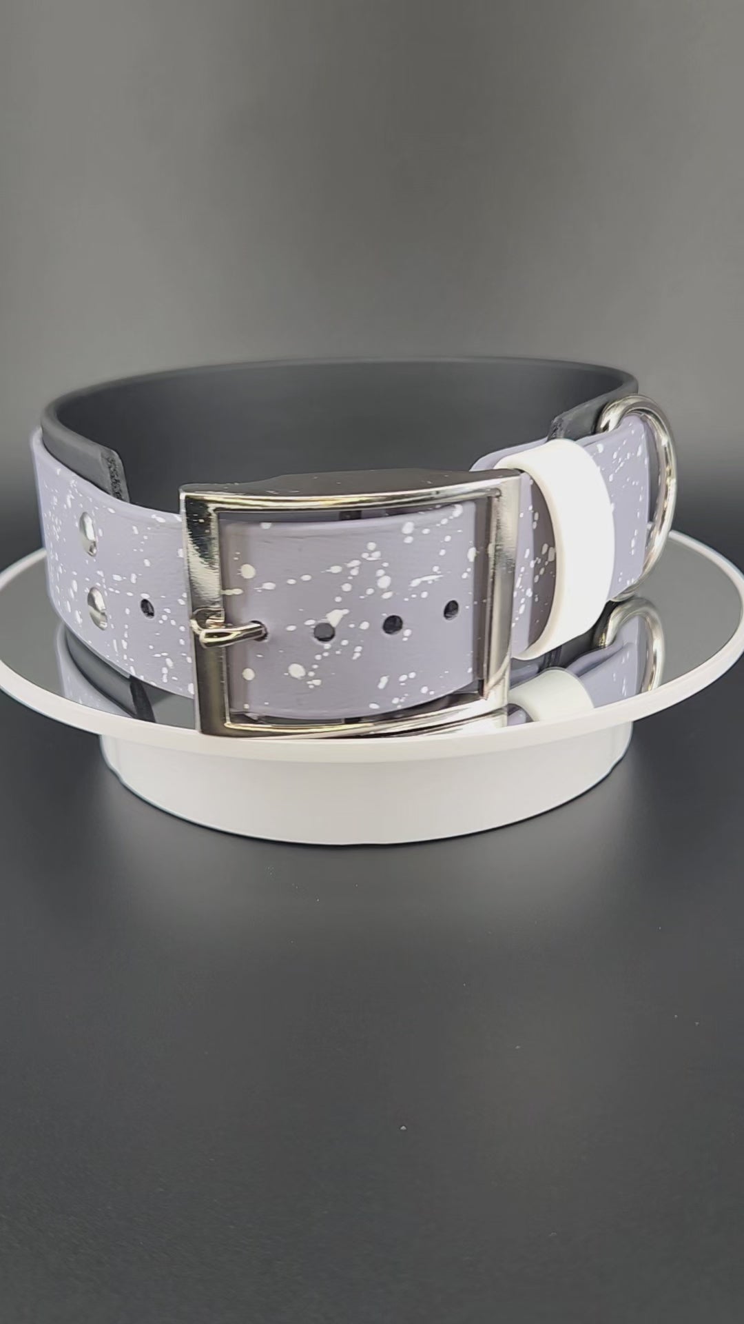 Black and Gray Layered Biothane Ace Pride Collar, 2 inch wide 18 - 21 inch neck