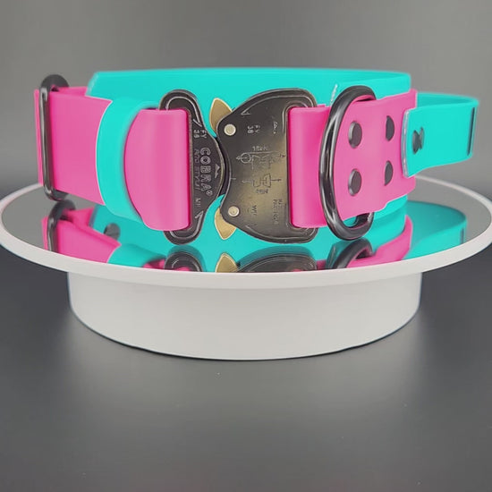 video displaying a 2 inch wide teal and pink tactical handle dog collar with heavy duty quick release cobra buckle and custom text