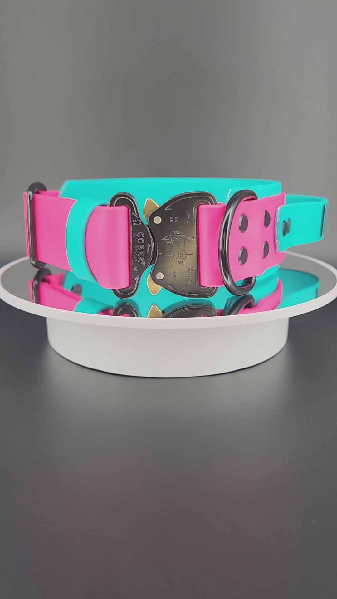 video displaying a 2 inch wide teal and pink tactical handle dog collar with heavy duty quick release cobra buckle and custom text