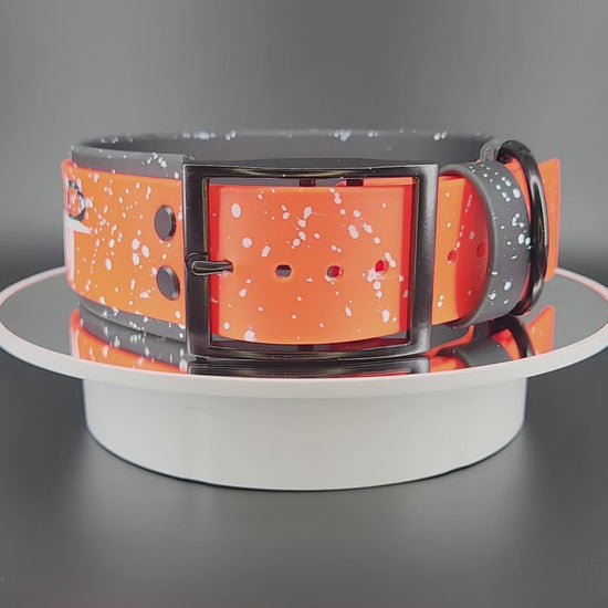 Ready to Ship - Black and Orange Layered Biothane FUCK AROUND AND FIND OUT Collar, 2 inch wide 18 - 21 inch neck