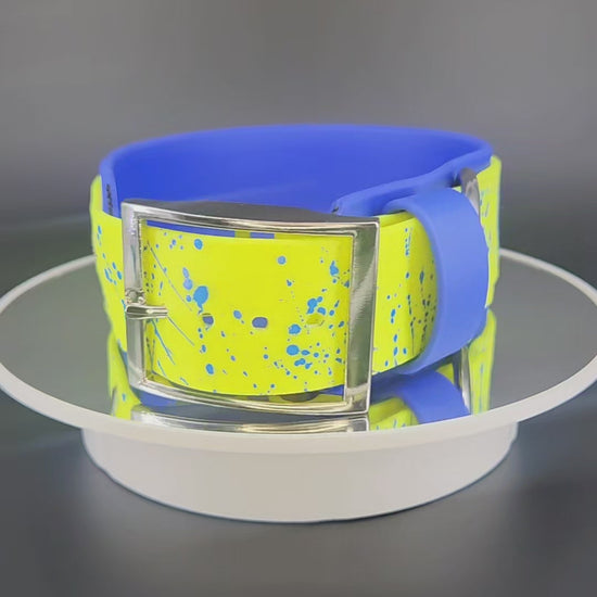 2 inch wide royal blue and yellow layered biothane okey dokey dog collar with blue splatter paint and silver hardware fits a 15 - 18 inch neck
