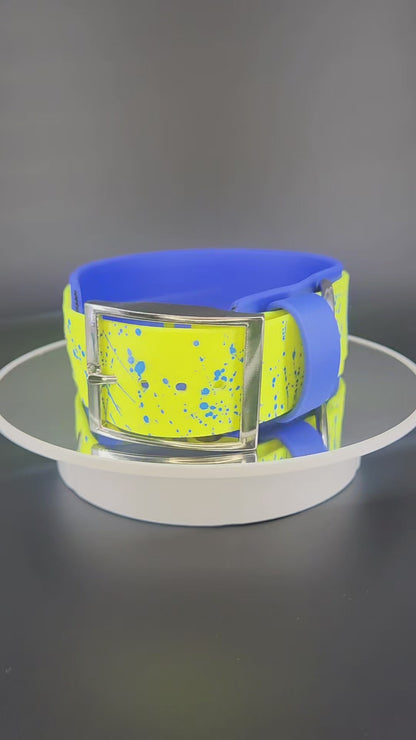2 inch wide royal blue and yellow layered biothane okey dokey dog collar with blue splatter paint and silver hardware fits a 15 - 18 inch neck