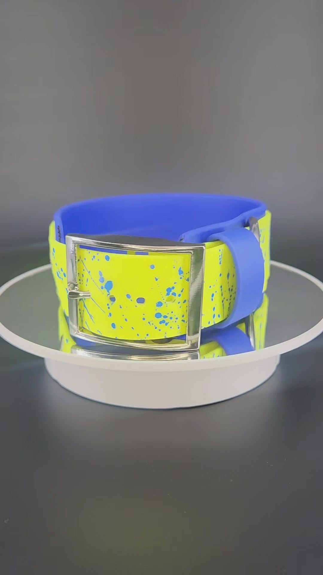 2 inch wide royal blue and yellow layered biothane okey dokey dog collar with blue splatter paint and silver hardware fits a 15 - 18 inch neck