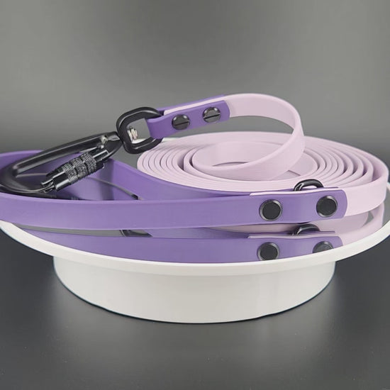half inch wide 10 feet long lavender and dark purple biothane leash with black auto locking carabiner clip