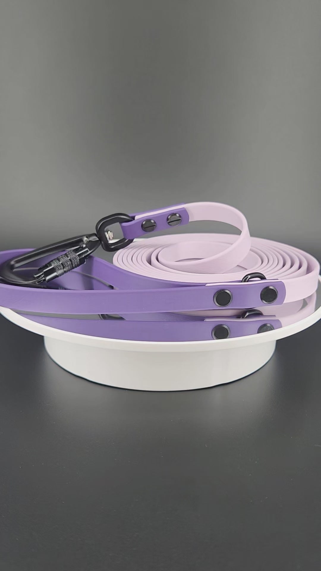 half inch wide 10 feet long lavender and dark purple biothane leash with black auto locking carabiner clip