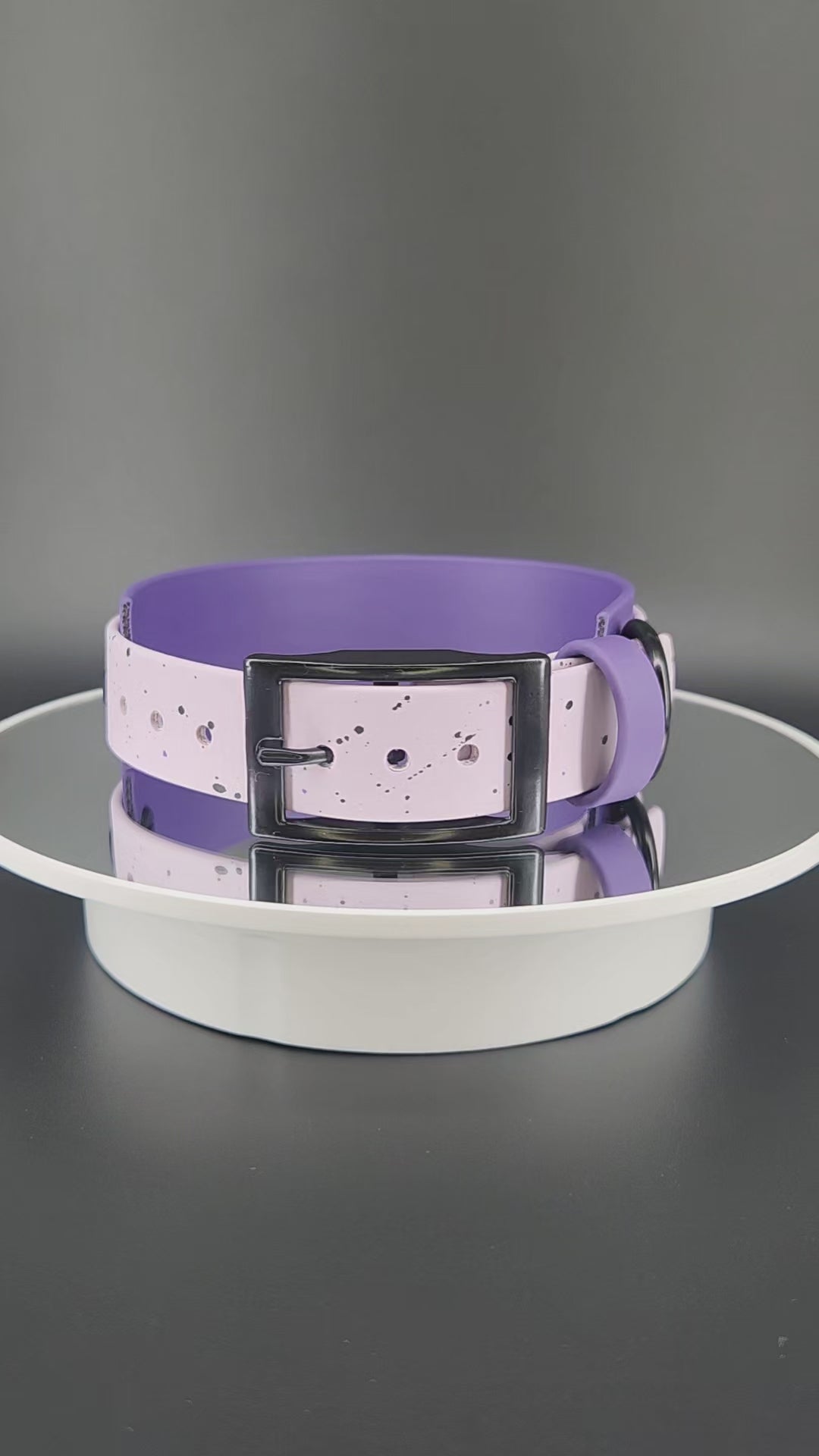 dark purple and lavender layered biothane moon phases collar with splatter paint stars