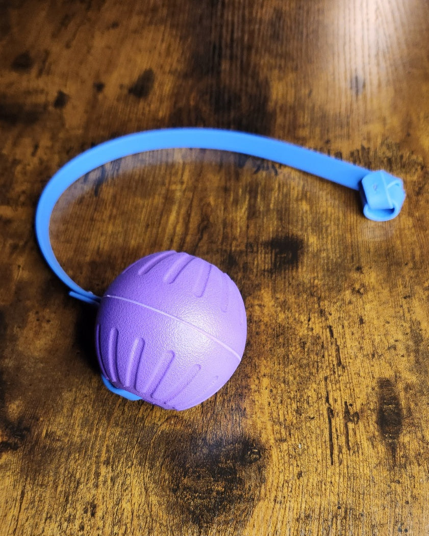 purple and periwinkle blue biothane knotted tab on a purple ball tug