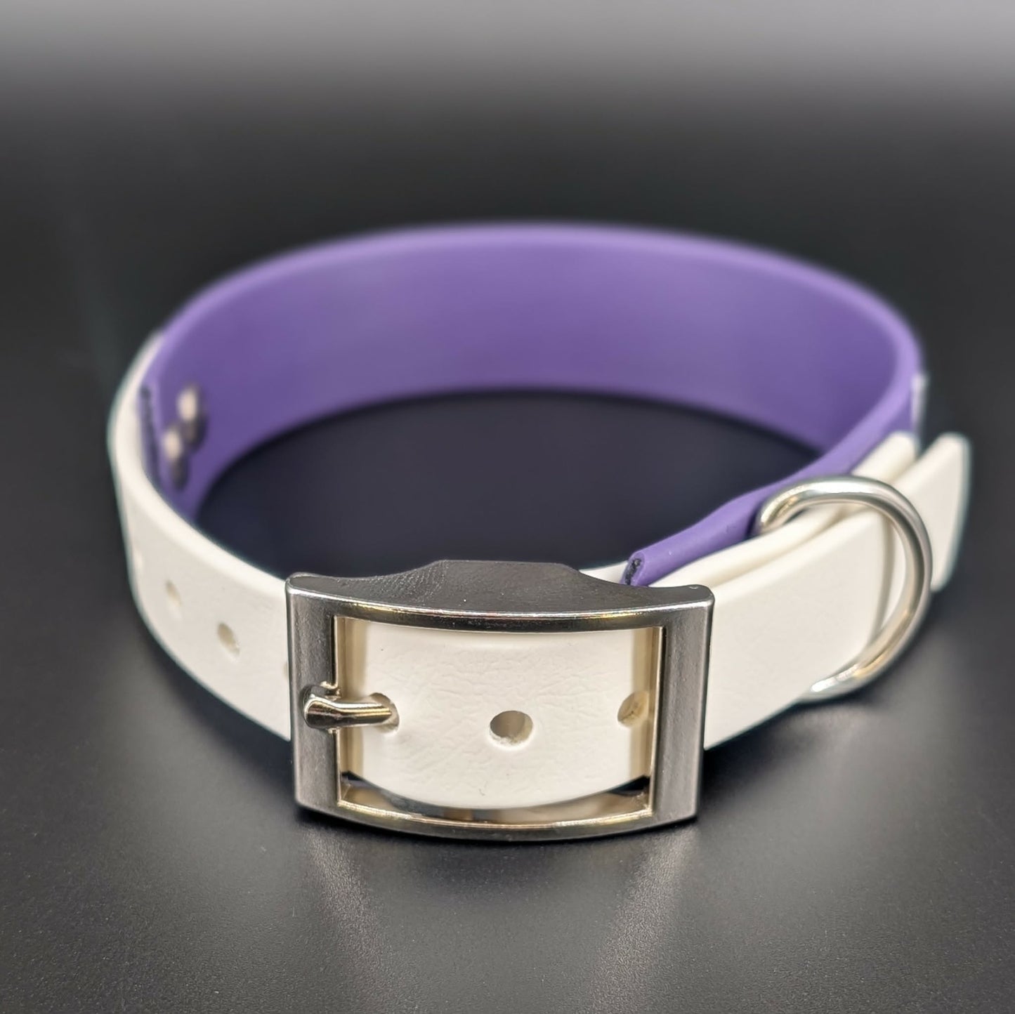 purple and white tapered biothane small dog collar