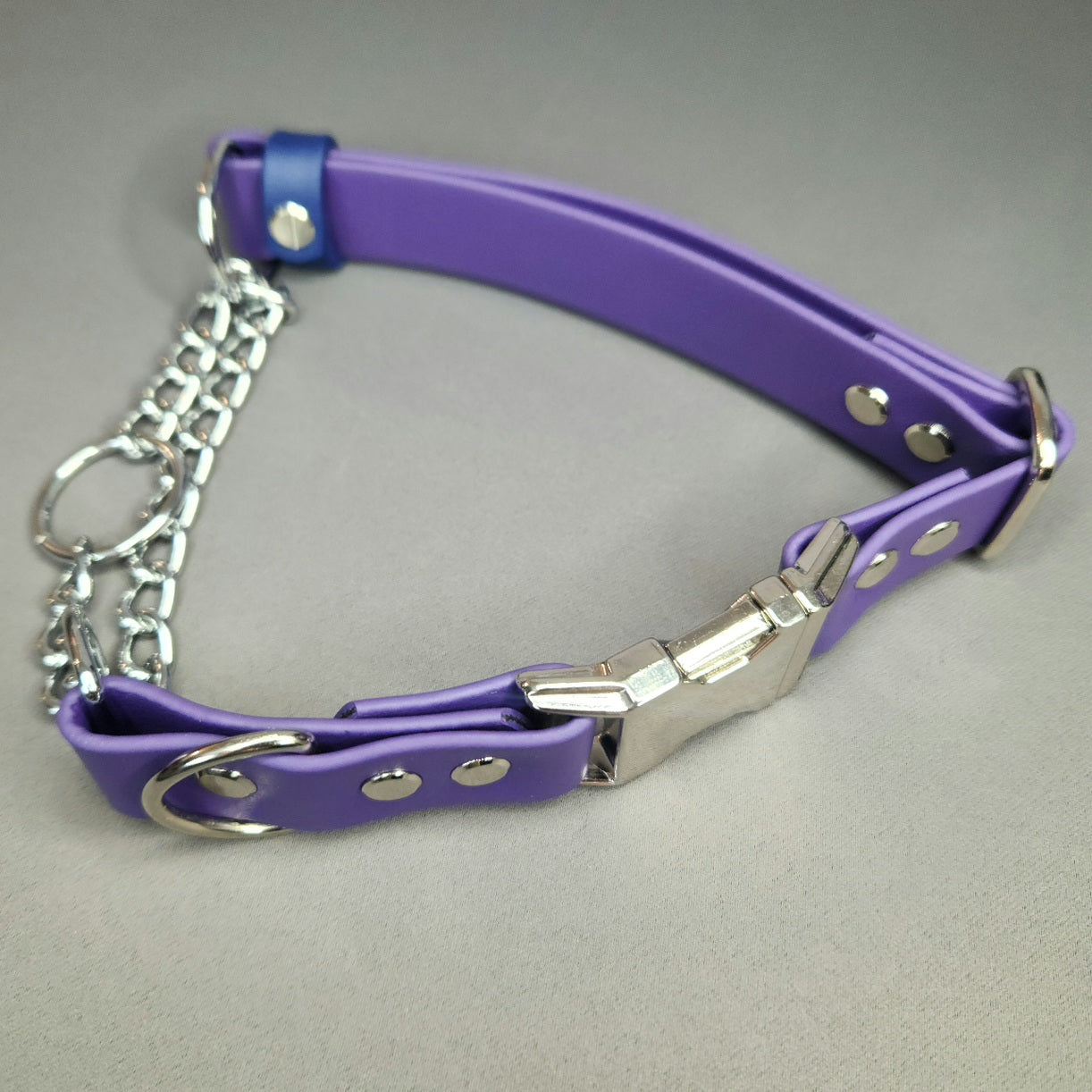 purple and blue biothane chain martingale dog collar