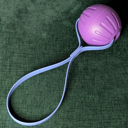 purple eva foam ball with a biothane loop handle