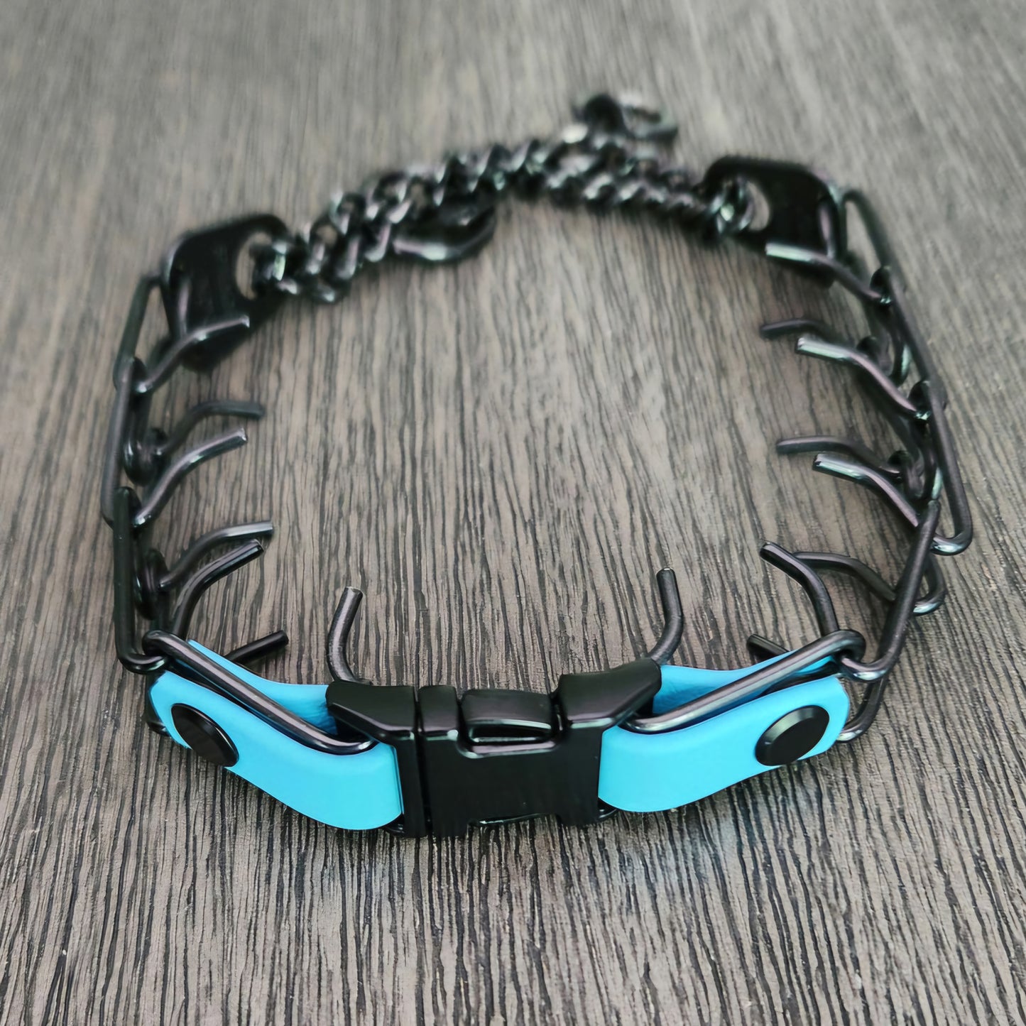 quick release buckle attachment installed on a prong collar with light blue biothane