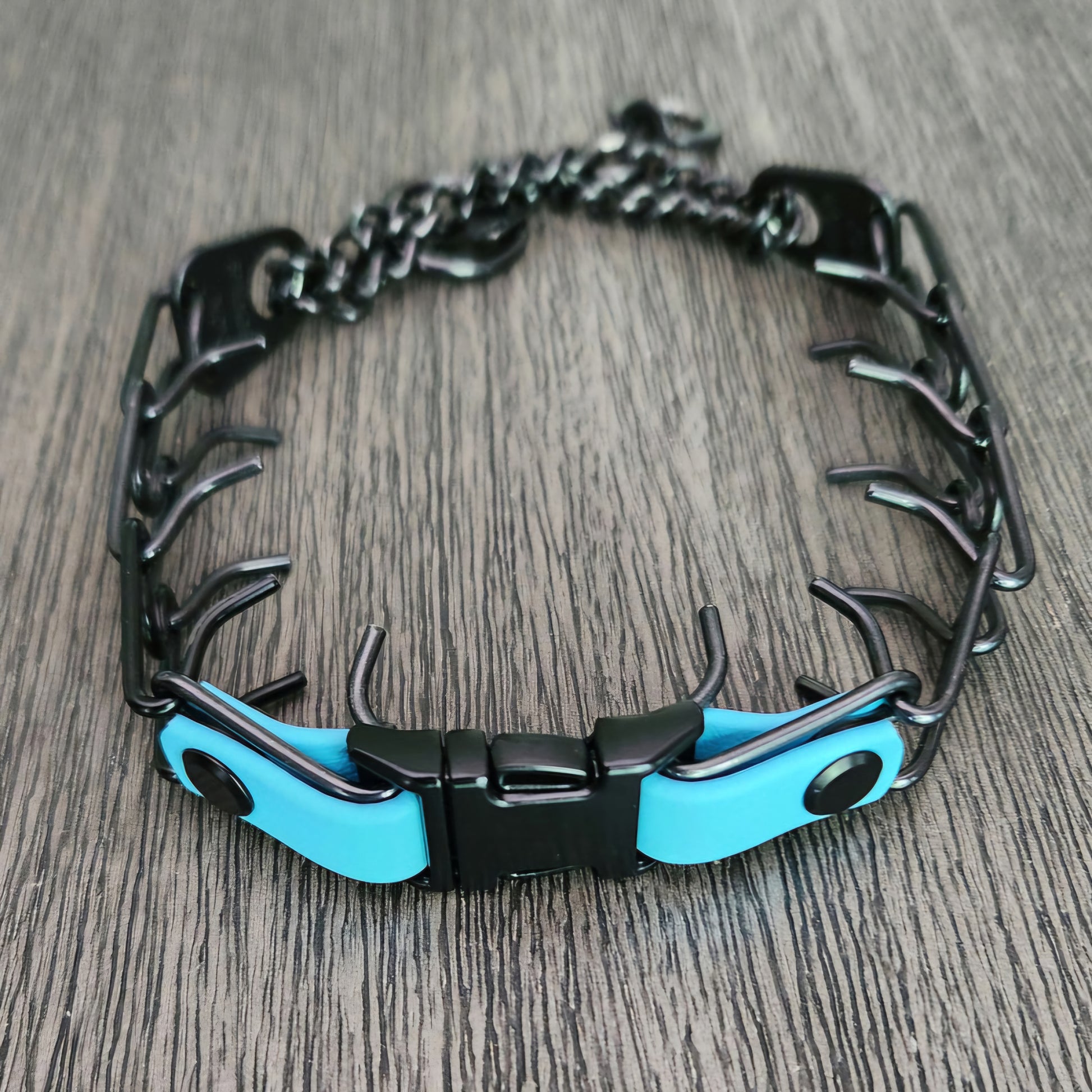 quick release buckle attachment installed on a prong collar with light blue biothane