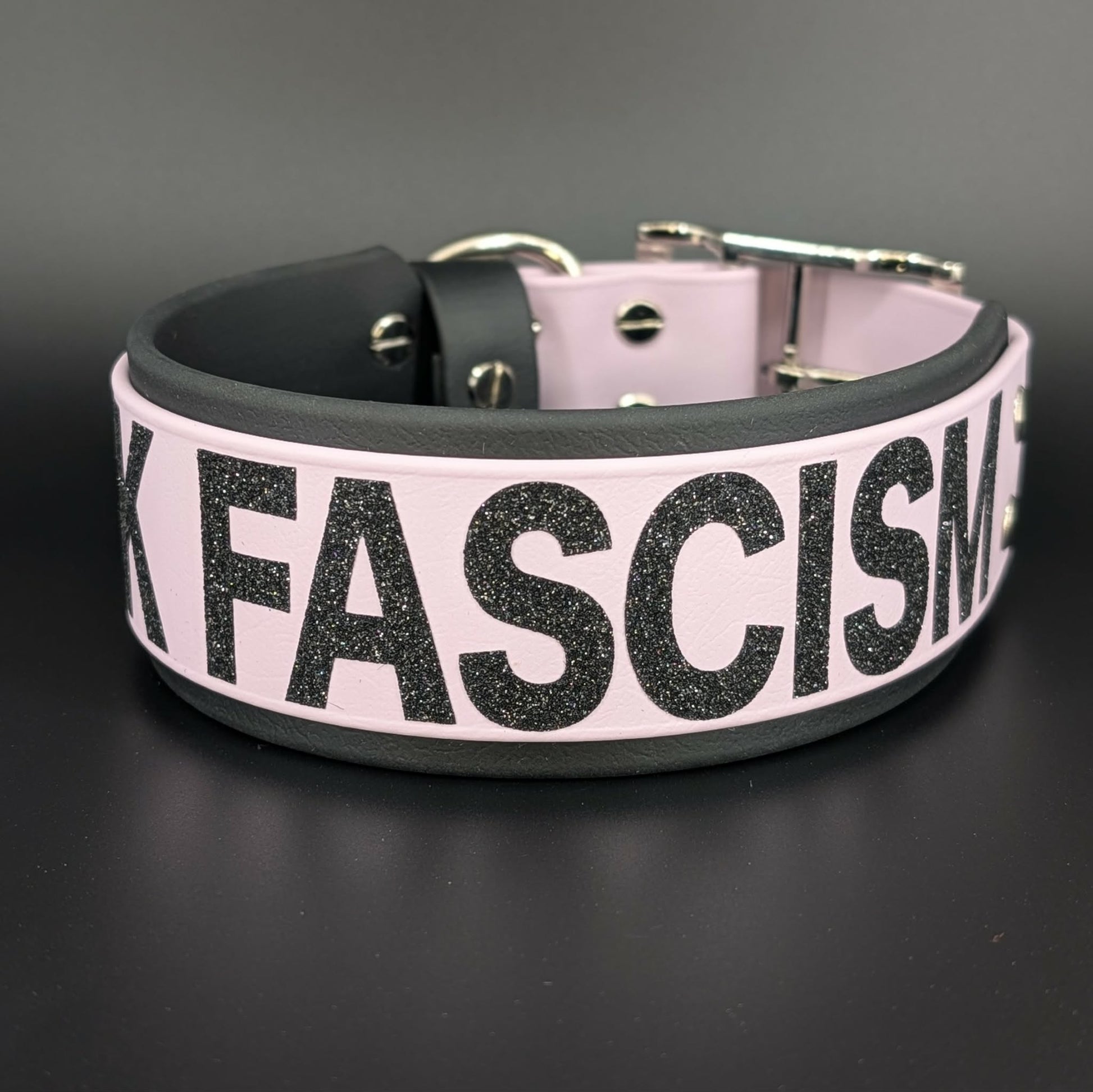 ready to ship fuck fascism 2 inch wide black and lavender biothane collar