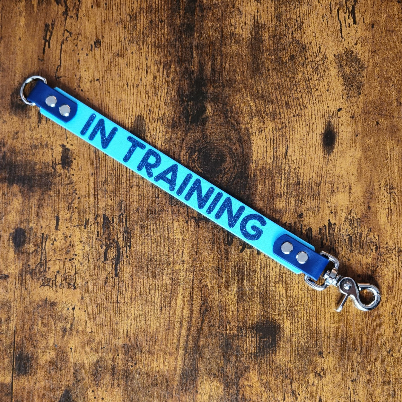 ready to ship premade biothane leash extender