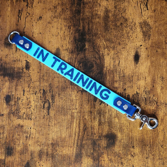 ready to ship premade biothane leash extender