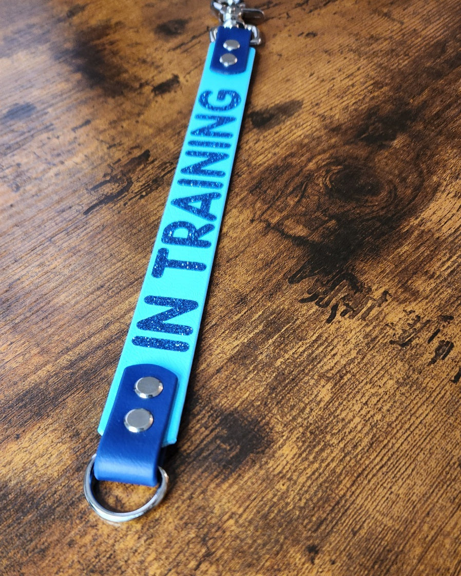 ready to ship premade in training biothane leash wrap alternative