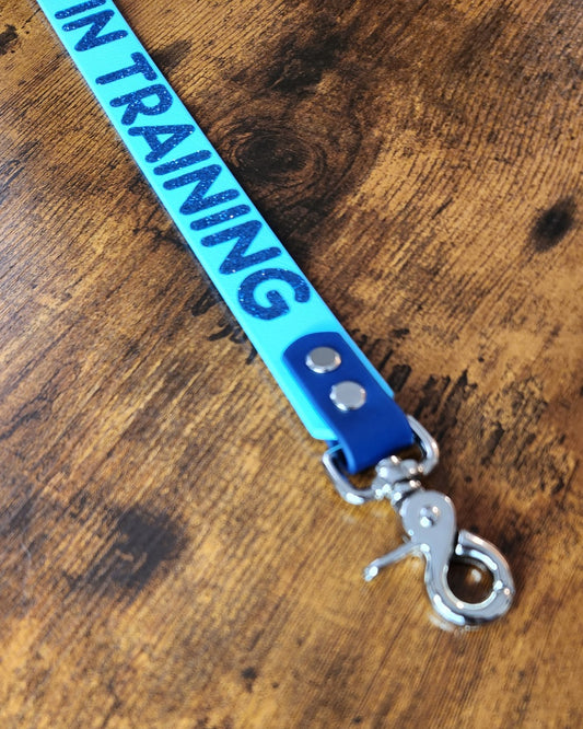 ready to ship premade in training leash wrap alternative