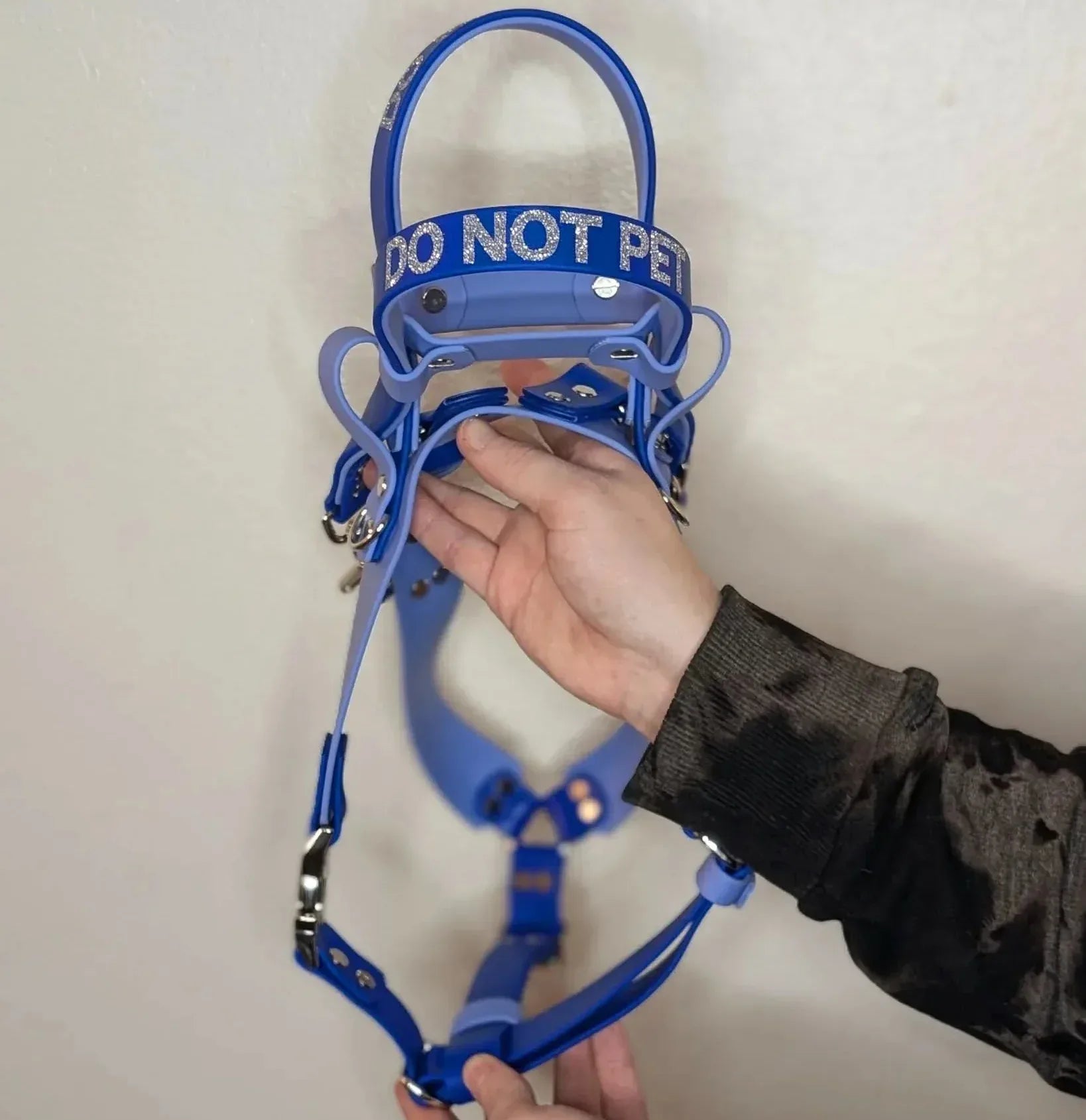 A backside view of this Ready to Ship - Periwinkle and Royal Blue Biothane Y-Front Service Dog Mobility Harness with Counterbalance Handle and Pull Strap - Outer Space Dog Gear