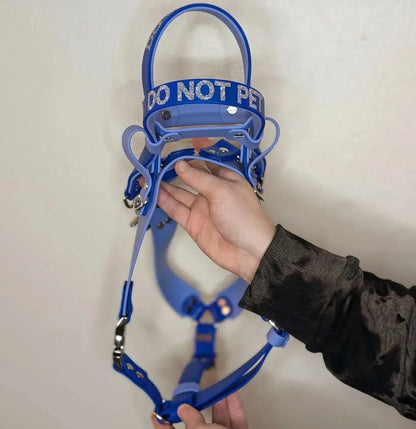 A backside view of this Ready to Ship - Periwinkle and Royal Blue Biothane Y-Front Service Dog Mobility Harness with Counterbalance Handle and Pull Strap - Outer Space Dog Gear