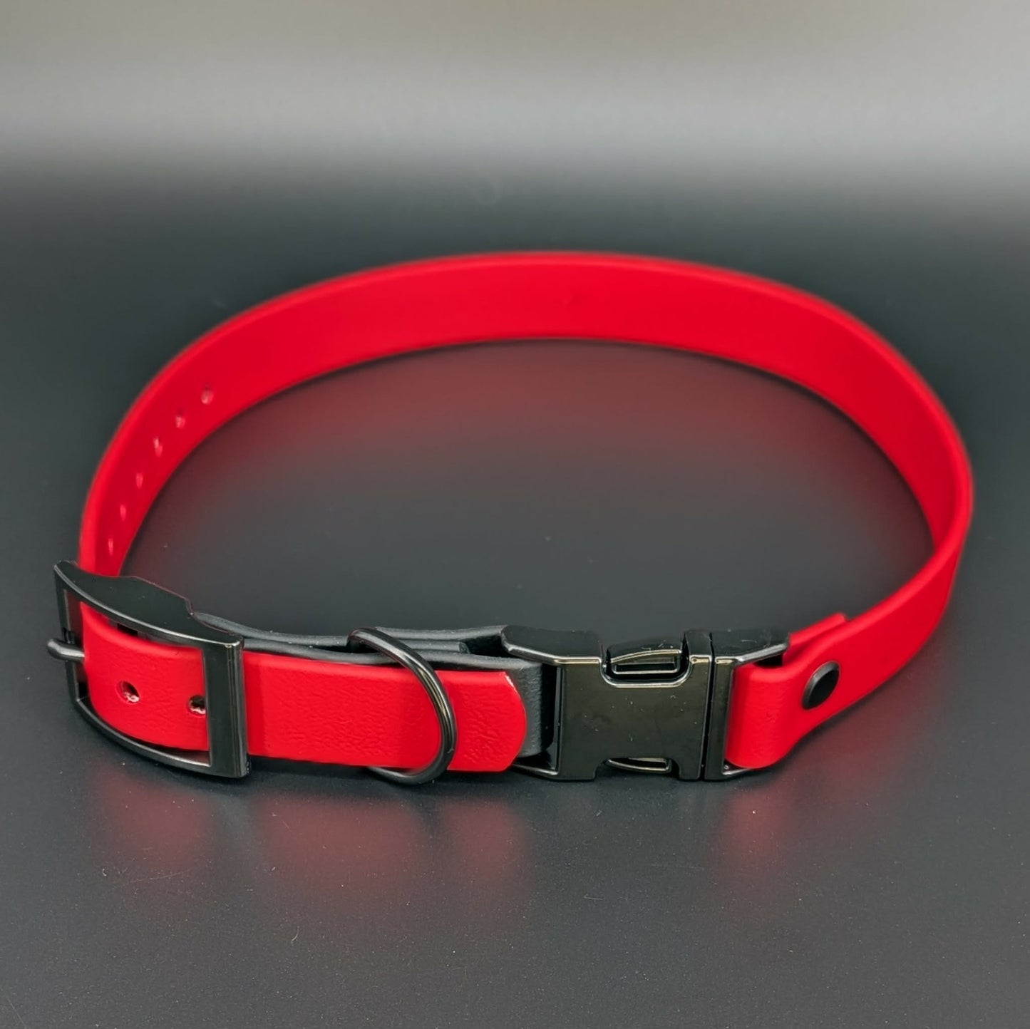 red and black biothane e-collar strap with quick release buckle