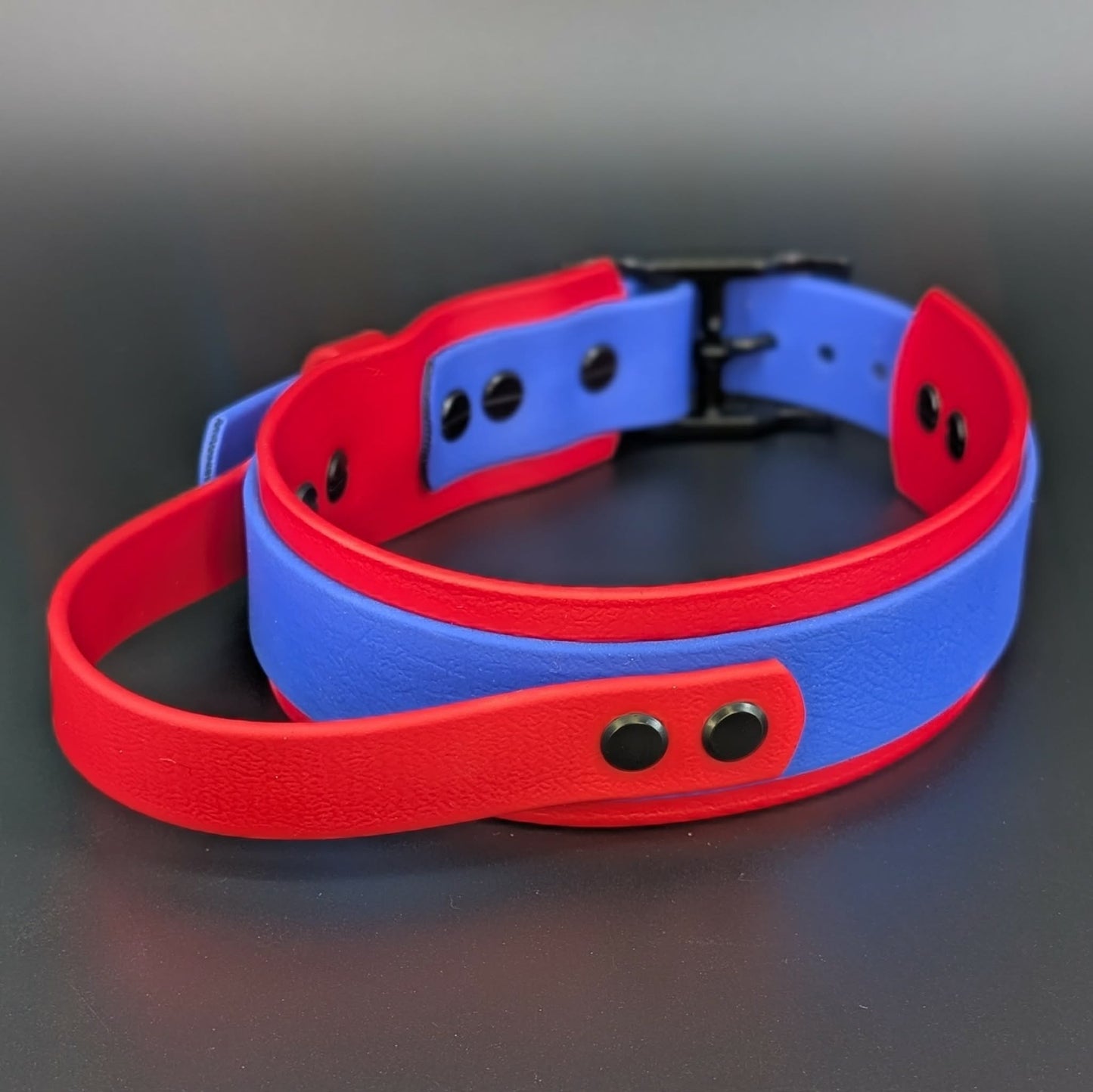 red and royal blue biothane dog collar with tactical handle