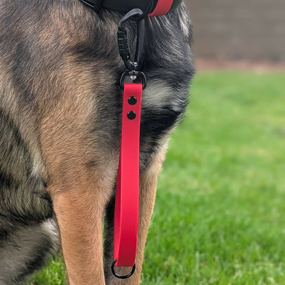 red biothane traffic handle with black carabiner